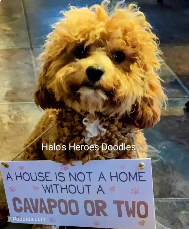 Flexible financing available