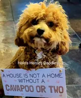 processed/c19ab5c6-3251-475f-90c5-eb3e6cc30f82/listing/706e8786-d2e8-4f52-a494-0b3f675fe4da/1130a2e3-7842-4df6-8823-f23df56a345b