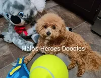 processed/c19ab5c6-3251-475f-90c5-eb3e6cc30f82/listing/706e8786-d2e8-4f52-a494-0b3f675fe4da/f4106159-292d-4c11-9980-4b9a29848817