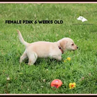 processed/c19c6987-9a37-49b5-900d-0d6fe39b58ec/facility/0182c522-8f7c-41e8-b68e-76c9a6bbf35c