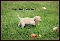 processed/c19c6987-9a37-49b5-900d-0d6fe39b58ec/facility/0182c522-8f7c-41e8-b68e-76c9a6bbf35c