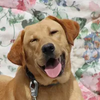 processed/c19c6987-9a37-49b5-900d-0d6fe39b58ec/facility/23f33ec4-7a6d-44a8-b4b6-9ced8a27933e