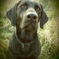 processed/c19c6987-9a37-49b5-900d-0d6fe39b58ec/facility/44ec2484-6b8e-483a-86ff-a913de6ab3ed