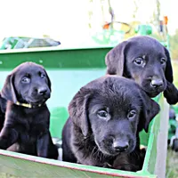 processed/c19c6987-9a37-49b5-900d-0d6fe39b58ec/facility/9c5b715a-a74c-4dfc-a04a-e2a8bacae53d