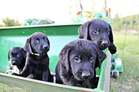 processed/c19c6987-9a37-49b5-900d-0d6fe39b58ec/facility/9c5b715a-a74c-4dfc-a04a-e2a8bacae53d