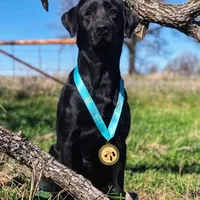 processed/c19c6987-9a37-49b5-900d-0d6fe39b58ec/facility/b6e33903-d64f-45c6-9687-33a4733a986a