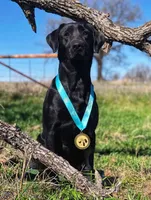 processed/c19c6987-9a37-49b5-900d-0d6fe39b58ec/facility/b6e33903-d64f-45c6-9687-33a4733a986a