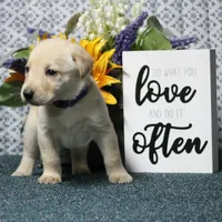 processed/c19c6987-9a37-49b5-900d-0d6fe39b58ec/facility/e04f80f4-79cd-45ec-a9ae-881c6cdaae5c