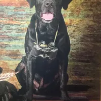 processed/c19c6987-9a37-49b5-900d-0d6fe39b58ec/facility/f963a8af-efdd-479e-9297-3fecfd29a3a6