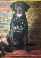 processed/c19c6987-9a37-49b5-900d-0d6fe39b58ec/facility/f963a8af-efdd-479e-9297-3fecfd29a3a6