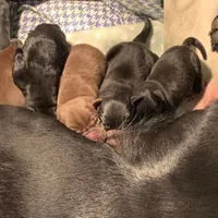 processed/c19c6987-9a37-49b5-900d-0d6fe39b58ec/facility/fa938a2d-2d3d-4113-9e2f-1c0b8168b32a