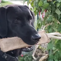 processed/c19c6987-9a37-49b5-900d-0d6fe39b58ec/facility/fb6816ee-5694-483d-8251-da927997f7ac