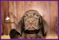 processed/c19c6987-9a37-49b5-900d-0d6fe39b58ec/listing/54adec5e-bc59-4eed-a177-723bfdfcd1d4/3c4a2f24-969d-4099-b2e7-72747daa1769