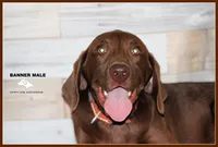 processed/c19c6987-9a37-49b5-900d-0d6fe39b58ec/listing/54adec5e-bc59-4eed-a177-723bfdfcd1d4/3fcb4e41-71f9-42fa-bb65-89247c0465da