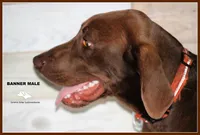 processed/c19c6987-9a37-49b5-900d-0d6fe39b58ec/listing/54adec5e-bc59-4eed-a177-723bfdfcd1d4/a5c1673f-ceec-470c-8d06-1d960db66cb0