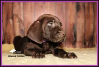 processed/c19c6987-9a37-49b5-900d-0d6fe39b58ec/listing/54adec5e-bc59-4eed-a177-723bfdfcd1d4/c84fa93d-c00f-4945-8433-fa0865b5b597