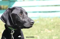 processed/c19c6987-9a37-49b5-900d-0d6fe39b58ec/listing/ba6ff217-d659-47a5-8931-03871b6137b8/465f3913-4ed5-4d65-b5bd-1df6e445160a