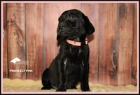 processed/c19c6987-9a37-49b5-900d-0d6fe39b58ec/listing/d43ae103-cfa0-4eb8-89bd-cbd0356c0fa3/0170b339-1598-4ca1-b9bb-2e5c174c1916