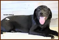 processed/c19c6987-9a37-49b5-900d-0d6fe39b58ec/listing/d43ae103-cfa0-4eb8-89bd-cbd0356c0fa3/1aa253ea-e6d2-416e-8607-f3a37cd23ff4