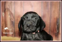 processed/c19c6987-9a37-49b5-900d-0d6fe39b58ec/listing/d43ae103-cfa0-4eb8-89bd-cbd0356c0fa3/3b396cff-d068-486b-aed7-920880fb4661