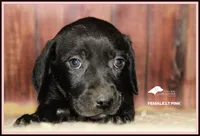 processed/c19c6987-9a37-49b5-900d-0d6fe39b58ec/listing/d43ae103-cfa0-4eb8-89bd-cbd0356c0fa3/6f1b313d-2700-4a1f-b7f7-51a08a29c390