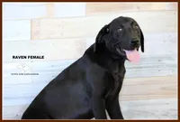 processed/c19c6987-9a37-49b5-900d-0d6fe39b58ec/listing/d43ae103-cfa0-4eb8-89bd-cbd0356c0fa3/d16c127c-7b66-41b7-9566-7800a40e511a