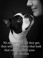 processed/c1a23bfc-da73-4576-a889-bb11cb0696ba/facility/08e88b8b-917f-4f7b-bd04-c8d55bb3e12b