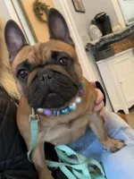 processed/c1a23bfc-da73-4576-a889-bb11cb0696ba/facility/5afe073e-d09c-4db5-b8a5-651e677a6af1