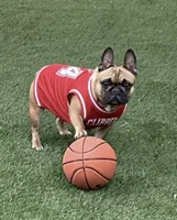 processed/c1a23bfc-da73-4576-a889-bb11cb0696ba/facility/5b20cc1a-43f3-4f7d-871c-e73c2fa57bac