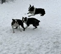 processed/c1a23bfc-da73-4576-a889-bb11cb0696ba/facility/5cd59d36-cf56-459a-9a18-82d60479f6cf