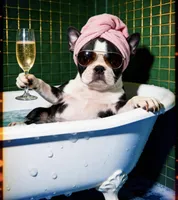 processed/c1a23bfc-da73-4576-a889-bb11cb0696ba/facility/7a486020-5081-43c9-af51-218640ed156a