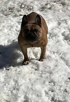 processed/c1a23bfc-da73-4576-a889-bb11cb0696ba/facility/9042561d-8b20-4a06-8236-40d18d2b0b21