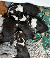 processed/c1a23bfc-da73-4576-a889-bb11cb0696ba/facility/b9827050-1bd3-4c98-b90b-015cebcb313a