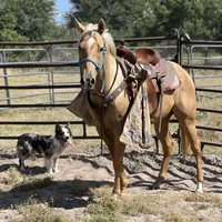 processed/c1a53248-acb4-49be-aa3e-423bbf27568d/facility/12479050-8058-4d05-9428-8e021485de43