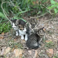 processed/c1a53248-acb4-49be-aa3e-423bbf27568d/facility/4bd6eb5a-0339-4394-8cb2-d504185b4fa3