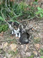 processed/c1a53248-acb4-49be-aa3e-423bbf27568d/facility/4bd6eb5a-0339-4394-8cb2-d504185b4fa3