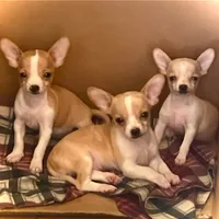 processed/c1a53248-acb4-49be-aa3e-423bbf27568d/facility/55b60eed-4458-4253-9adb-683eb7ff89f3