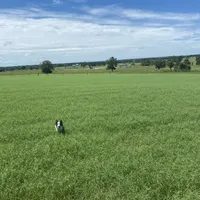 processed/c1a53248-acb4-49be-aa3e-423bbf27568d/facility/5b0ce859-a229-410a-9ba5-9ed121616d8e