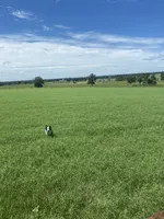 processed/c1a53248-acb4-49be-aa3e-423bbf27568d/facility/5b0ce859-a229-410a-9ba5-9ed121616d8e