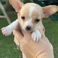 processed/c1a53248-acb4-49be-aa3e-423bbf27568d/facility/a62d3ffe-4468-46bb-821b-d7ba28387560