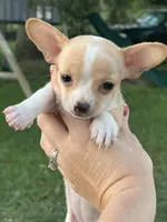 processed/c1a53248-acb4-49be-aa3e-423bbf27568d/facility/a62d3ffe-4468-46bb-821b-d7ba28387560