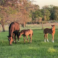 processed/c1a53248-acb4-49be-aa3e-423bbf27568d/facility/c39b8ede-9074-497d-a312-833b1d93cfa6