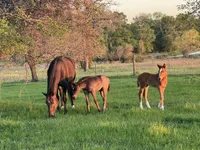 processed/c1a53248-acb4-49be-aa3e-423bbf27568d/facility/c39b8ede-9074-497d-a312-833b1d93cfa6