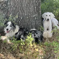 processed/c1a53248-acb4-49be-aa3e-423bbf27568d/facility/e34ace84-32b1-444b-9c17-dbda80b3d5ff