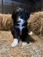 processed/c1a53248-acb4-49be-aa3e-423bbf27568d/listing/13b2ff3b-2ba2-4c54-b3c3-f03f0f89f8af/23a89de6-237d-4bd5-a38d-0b45372cc252