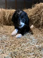 processed/c1a53248-acb4-49be-aa3e-423bbf27568d/listing/13b2ff3b-2ba2-4c54-b3c3-f03f0f89f8af/74bf7403-e70a-4232-b399-21d5ab0d3376