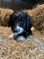 processed/c1a53248-acb4-49be-aa3e-423bbf27568d/listing/13b2ff3b-2ba2-4c54-b3c3-f03f0f89f8af/e493dab8-9b04-40c0-9dee-26c9948dae38