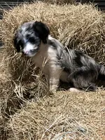 processed/c1a53248-acb4-49be-aa3e-423bbf27568d/listing/2a353aeb-07ad-427e-8835-9685c294aaea/674edc13-5bb2-4204-9ac7-45f6bce51767