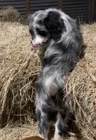 processed/c1a53248-acb4-49be-aa3e-423bbf27568d/listing/2a353aeb-07ad-427e-8835-9685c294aaea/7e2a7a5d-3fb6-49b3-8a9c-839ea6514775