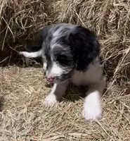 processed/c1a53248-acb4-49be-aa3e-423bbf27568d/listing/2a353aeb-07ad-427e-8835-9685c294aaea/98a562e9-6a31-4245-b1c8-f62130decb4f